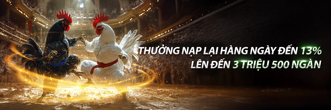 Đá gà trực tuyến kịch tính tại go999 nhà cái