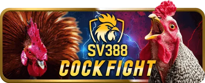 Ưu đãi chào mừng thành viên mới go999 nhà cái